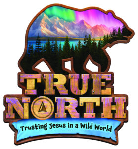True North